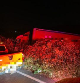 Driver injured as truck veers off the M7