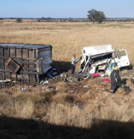 Driver critically injured in heavy truck rollover
