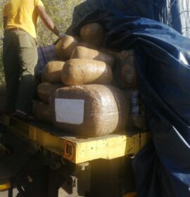 Western Cape police nabs truck driver with drugs R4 million