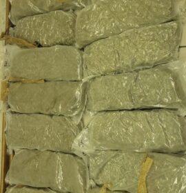More boots on the ground yielding excellent results with confiscation of R300 000 worth of drugs
