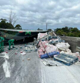 Taxi transporting children, involved in a collision with a truck on the N2 near Wilsons Cutting