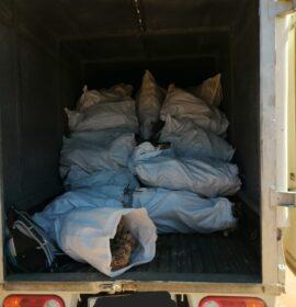 Three suspects arrested and endangered plants worth R500 000 recovered near Leliefontein
