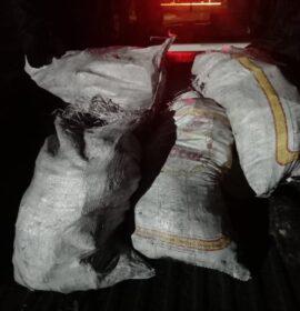 Suspect apprehended during Operation Vala Umgodi