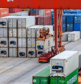 Cape Town Port Terminal improvement powers South Africa’s citrus trade
