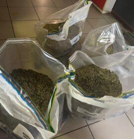 Suspect arrested after transporting dagga on the R23