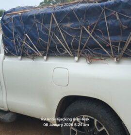 Police recover stolen motorbikes and ammunition in successful operation near Mopani District office