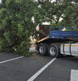 A truck has collided with a tree at the corner of Percy Osbourne Road and Goble Road