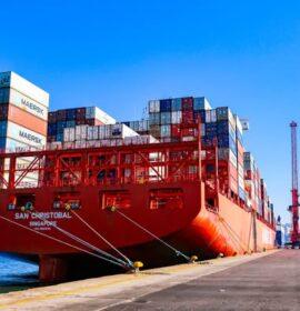 Durban Multipurpose Terminal one of the standout performers across South African terminals
