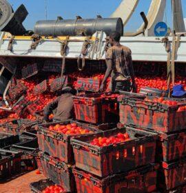A truck loaded with tomatoes has overturned on the side coming from Nelson Mandela Drive, Polokwane