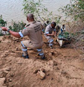 Wildlife trafficking addressed with high-impact, cross-border operation at Vioolsdrift
