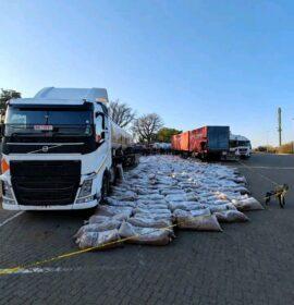 Zimbabwean national arrested after tobacco worth R3.8 million allegedly found in gas tanker