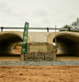Major flood recovery milestones across Kruger National Park